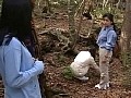 サンプル画像