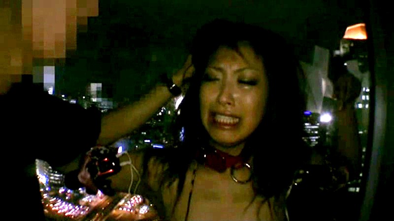 HODV-020607 Part 13 - 90 minutes