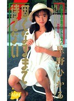 固くなるまで待てない 星野ひかるのジャケット表面画像