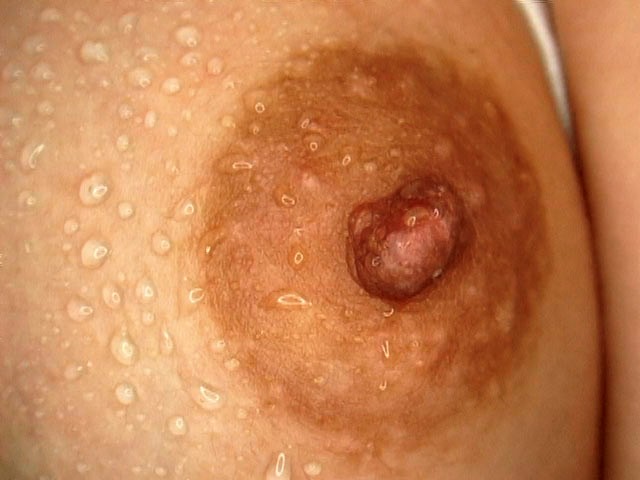 FETI-78 第 1 部分 - 30 分钟