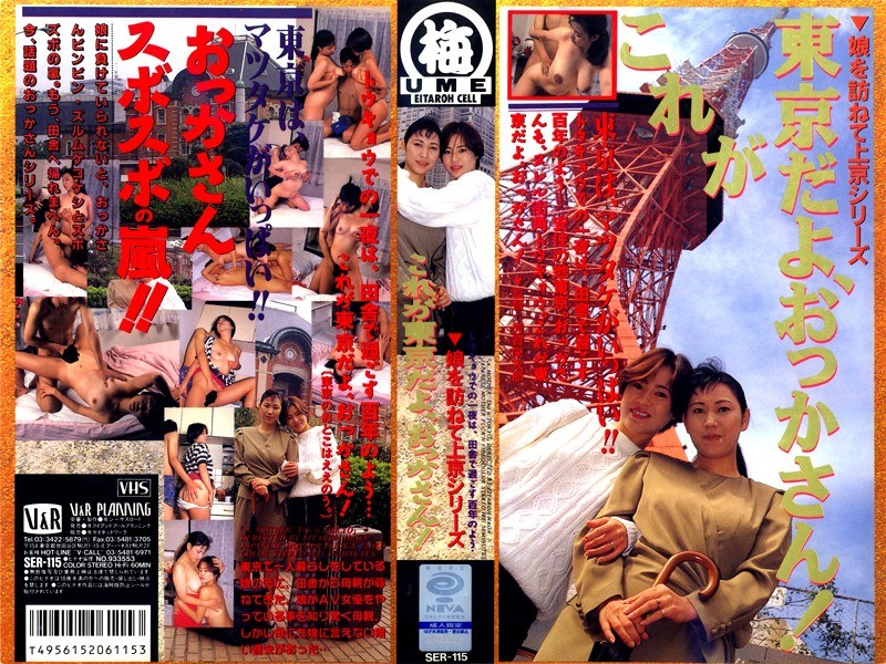 娘を訪ねて上京シリーズ これが東京だよおっかさん