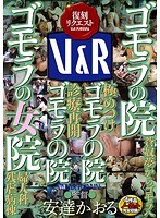 (42vrxm00004)[VRXM-004]ゴモラの院 「ゴモラの院蒼奴夢からゴモラへ 極めつけゴモラの院 診療再開ゴモラの院 ゴモラの女院婦人科残虐病院」 ダウンロード