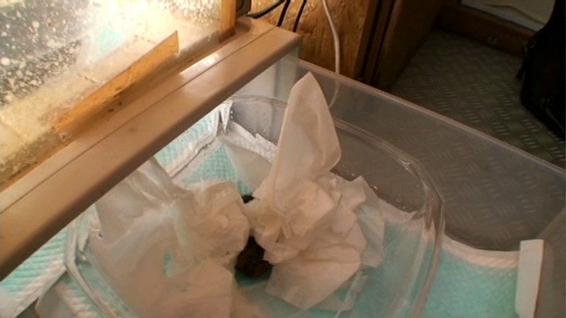 GCD-712 Part 20 - 258 minutes