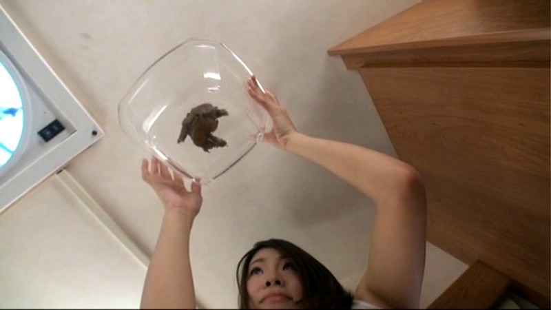 GCD-43300720 第 19 部分 - 156 分钟