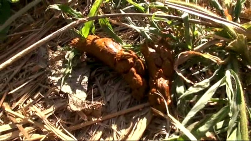 GCD-723 第 14 部分 - 134 分钟