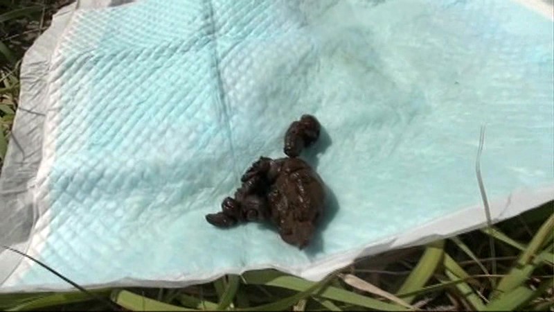 GCD-736 Part 20 - 163 minutes