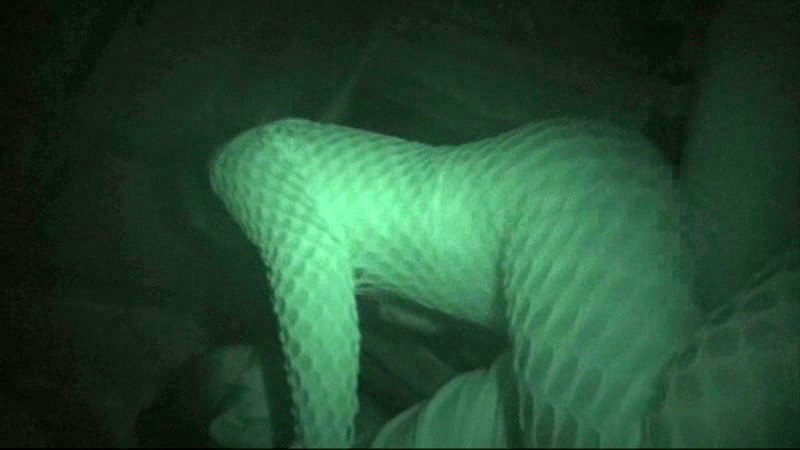 NEO-032 Bagian 6 - 60 minit