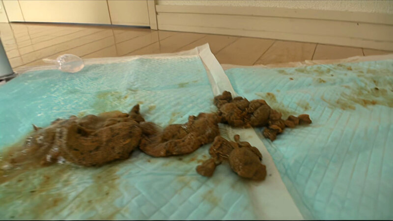 RAI-020 第 8 部分 - 86 分钟