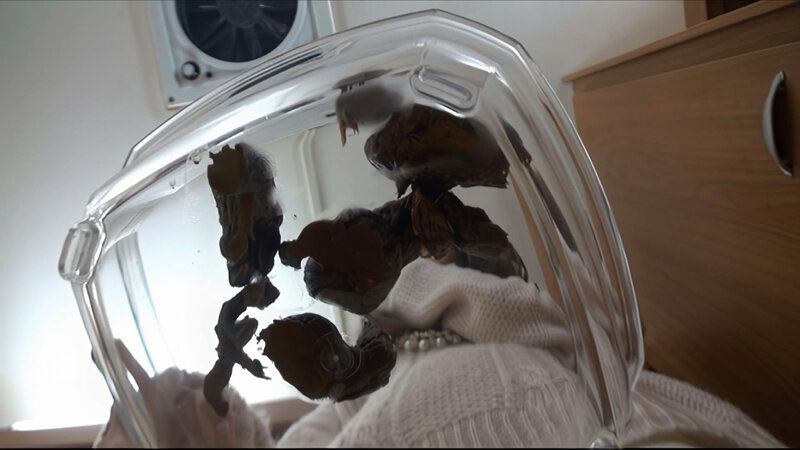 RAI-021 第 8 部分 - 79 分钟