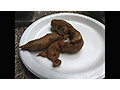 AIޥǡTOKYO륺ڥ No.16