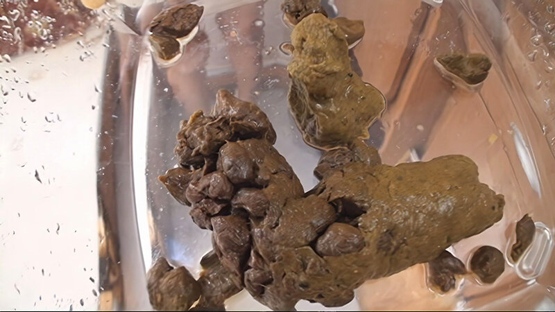 RAI-028 パート 11 - 110 分