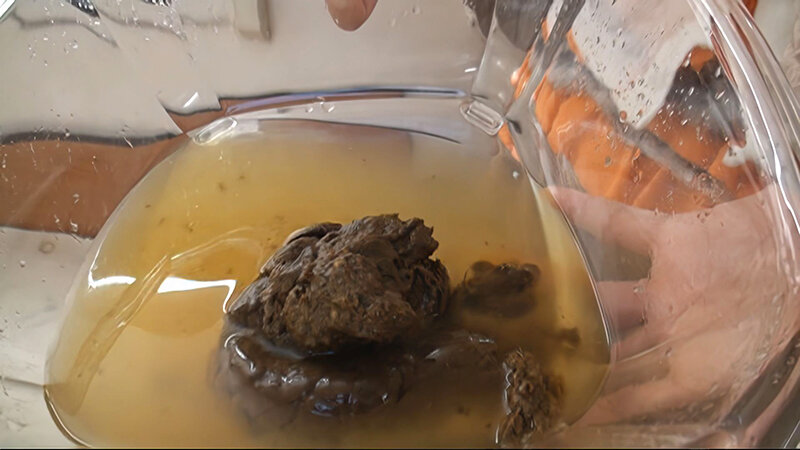 RAI-028 パート 18 - 166 分