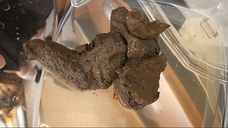 RAI-031 Bagian 15 - 268 minit