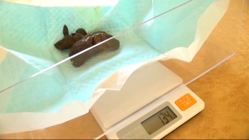 STD-404 パート 13 - 126 分