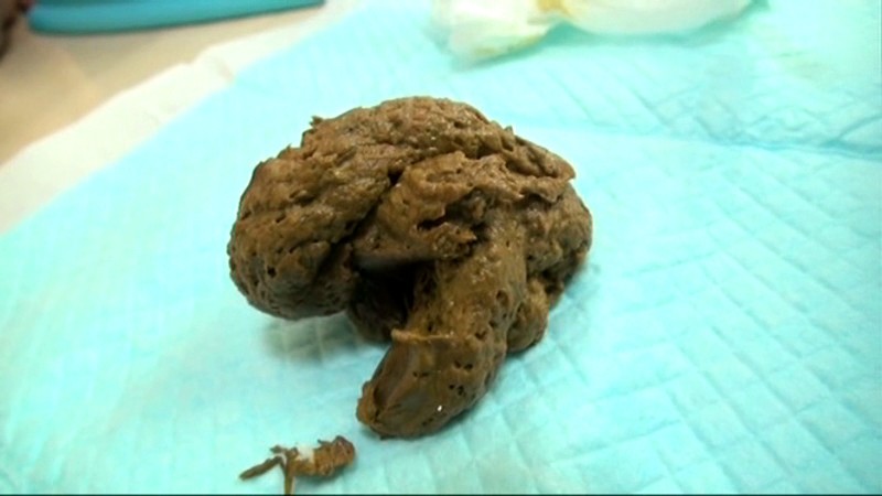 STD-404 パート 18 - 166 分