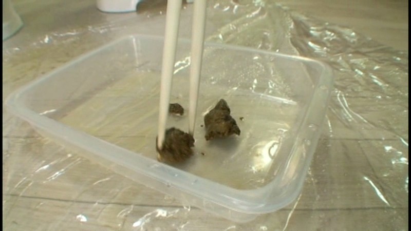 TAN-401 第 20 部分 - 182 分钟