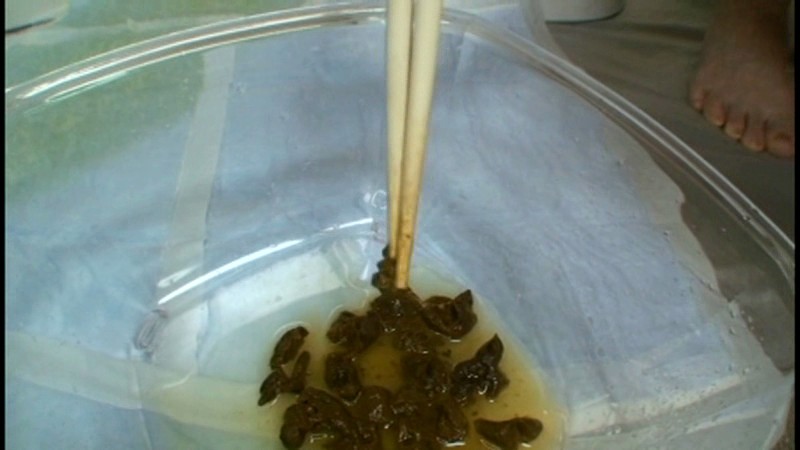 TAN-409 Part 14 - 134 minutes