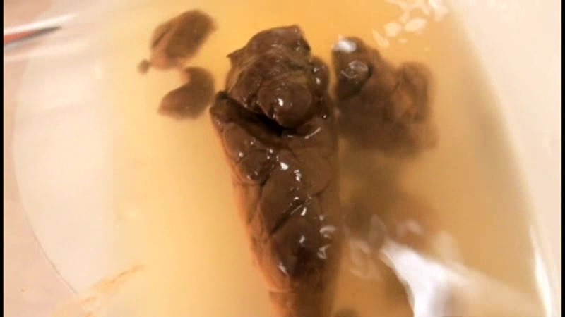 TAN-414 Bagian 3 - 46 minit