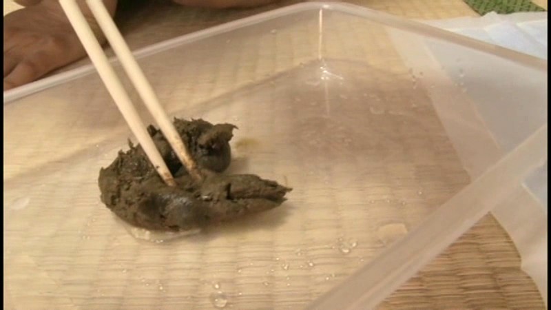 TAN-414 Bagian 7 - 78 minit