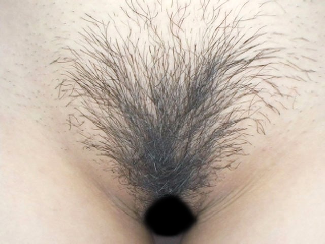 GA-211 第 15 部分 - 86 分钟