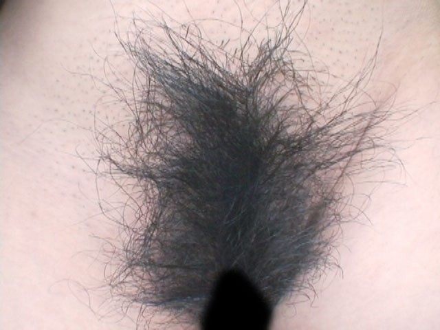 GA-211 第 3 部分 - 38 分钟