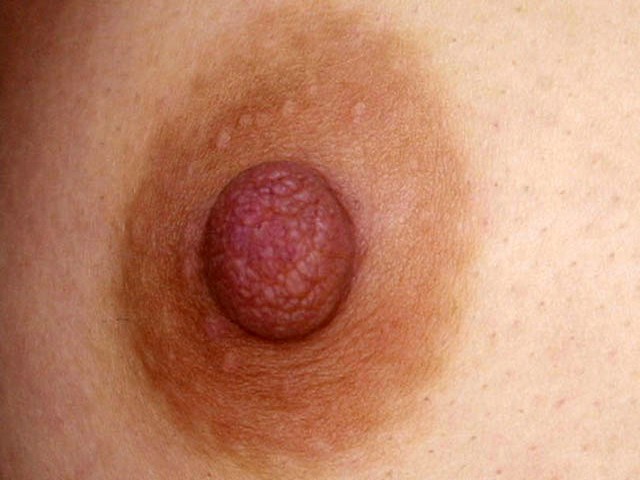 GA-253 パート 14 - 69 分