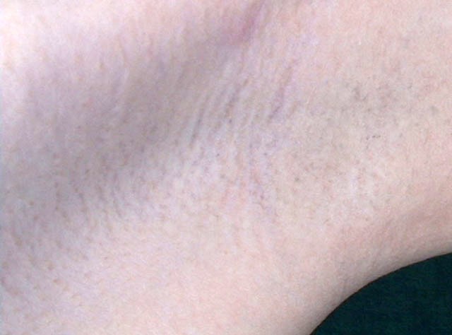 GA-261 第 4 部分 - 42 分钟