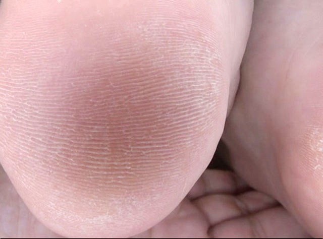 GA-263 パート 18 - 115 分