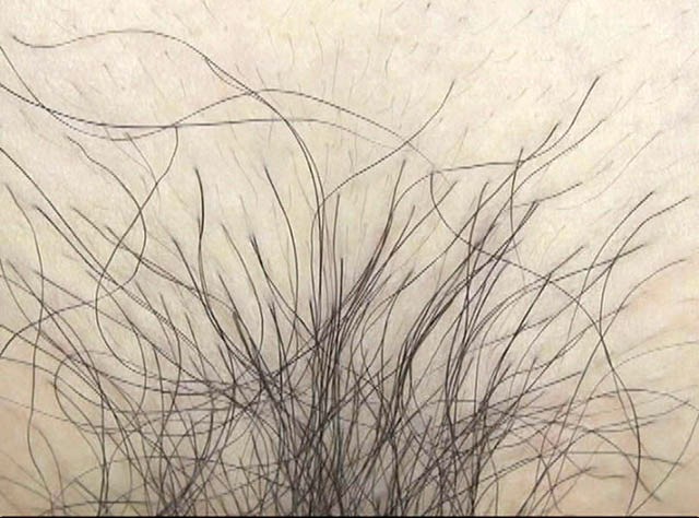 GA-267 第 11 部分 - 80 分钟