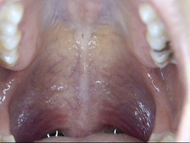 GA-275 第 1 部分 - 30 分钟