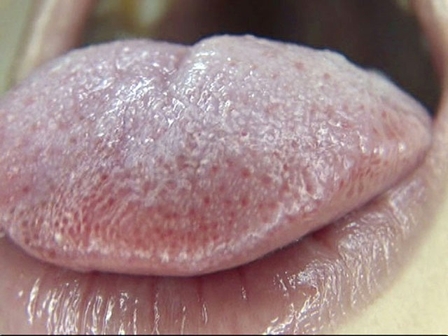 GA-275 第 10 部分 - 66 分钟