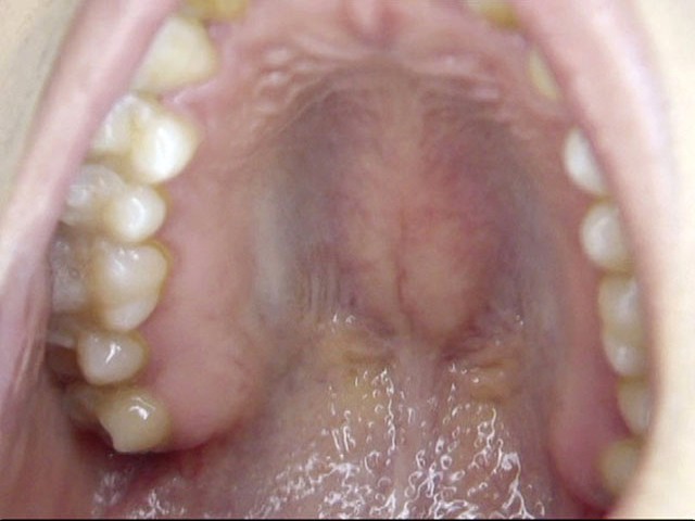 GA-275 パート 4 - 42 分