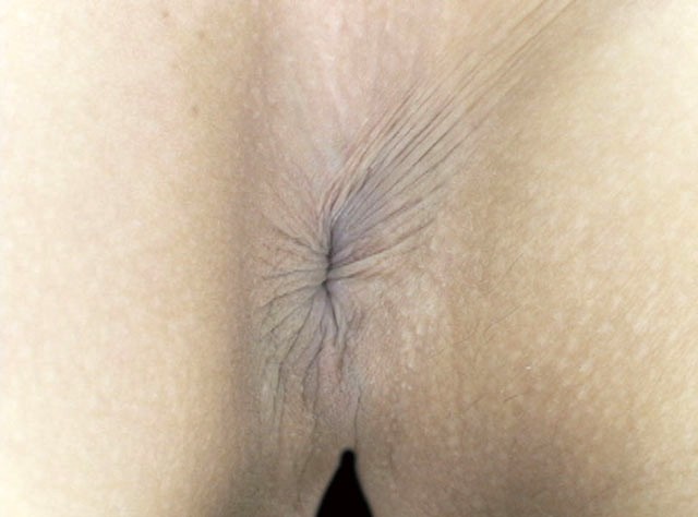 GA-276 Part 6 - 55 minutes