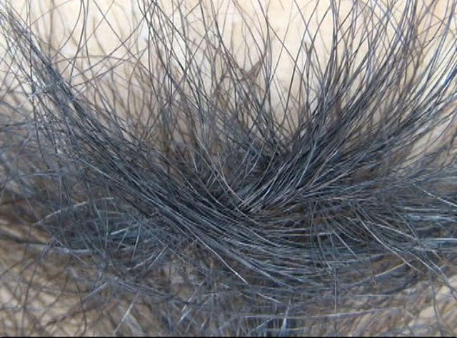 GA-281 Bagian 10 - 66 minit