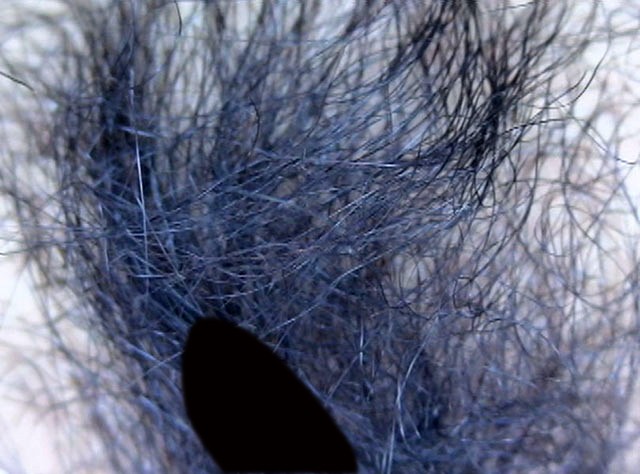 GA-281 Bagian 11 - 70 minit