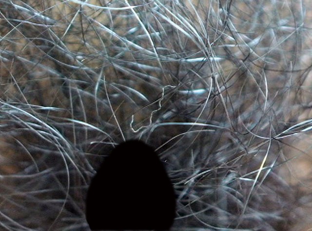 GA-281 Bagian 14 - 82 minit