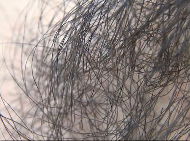 GA-281 Bagian 17 - 94 minit