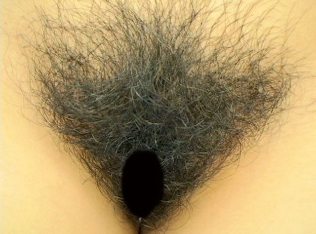 GA-281 Bagian 6 - 50 minit