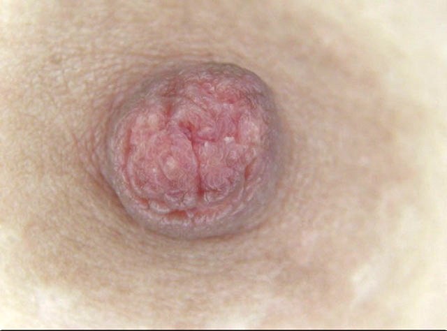 GA-286 パート 16 - 90 分