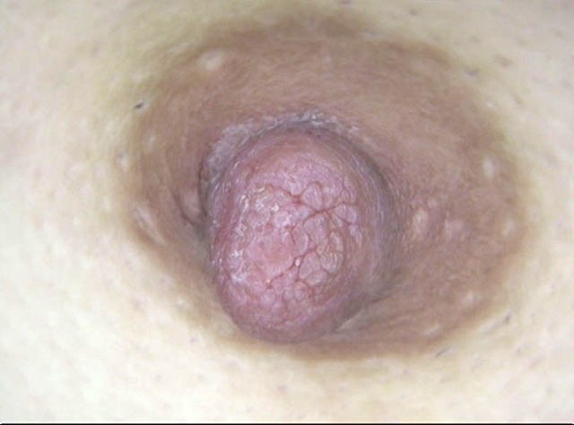 GA-286 パート 19 - 102 分