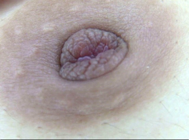 GA-286 Bagian 2 - 34 minit