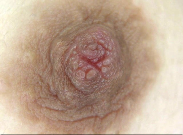 GA-286 パート 20 - 106 分