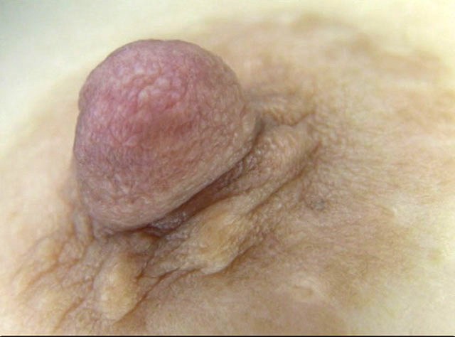 GA-286 パート 3 - 38 分