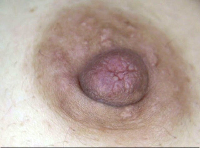 GA-286 Part 4 - 42 minutes