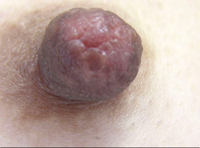 GA-286 パート 5 - 46 分