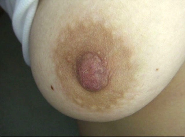 GA-286 Bagian 6 - 50 minit