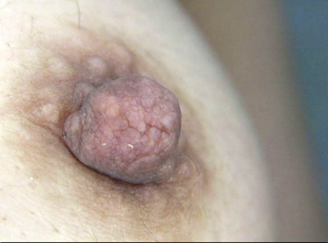 GA-286 Part 7 - 54 minutes