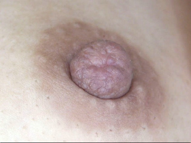 GA-294 第 1 部分 - 30 分钟