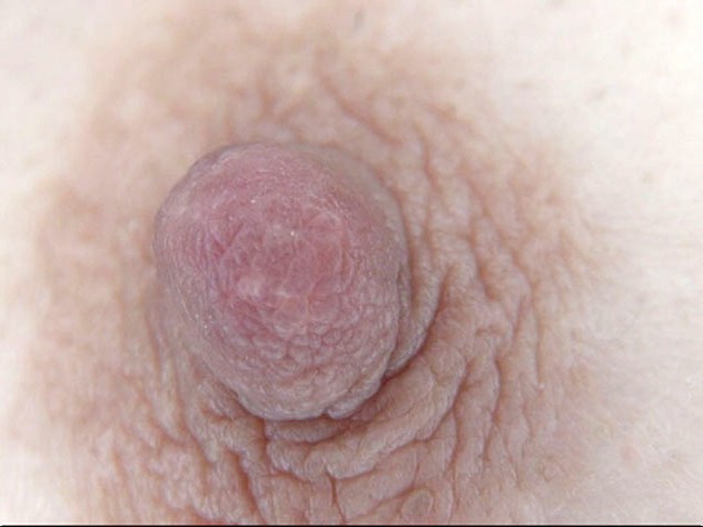 GA-294 パート 12 - 85 分