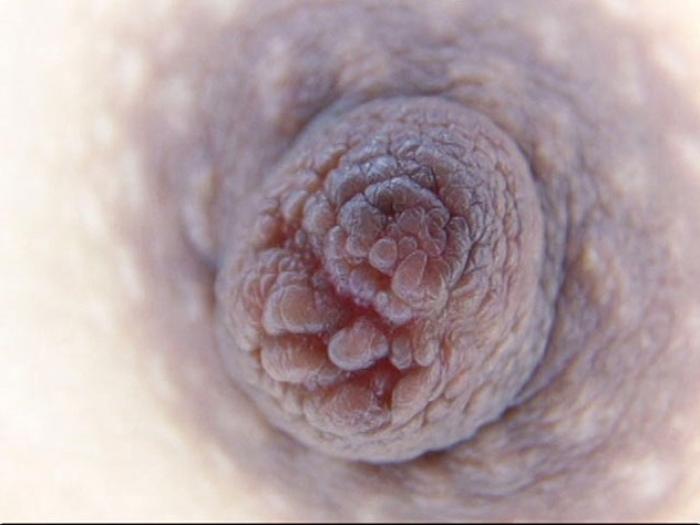 GA-294 パート 13 - 90 分